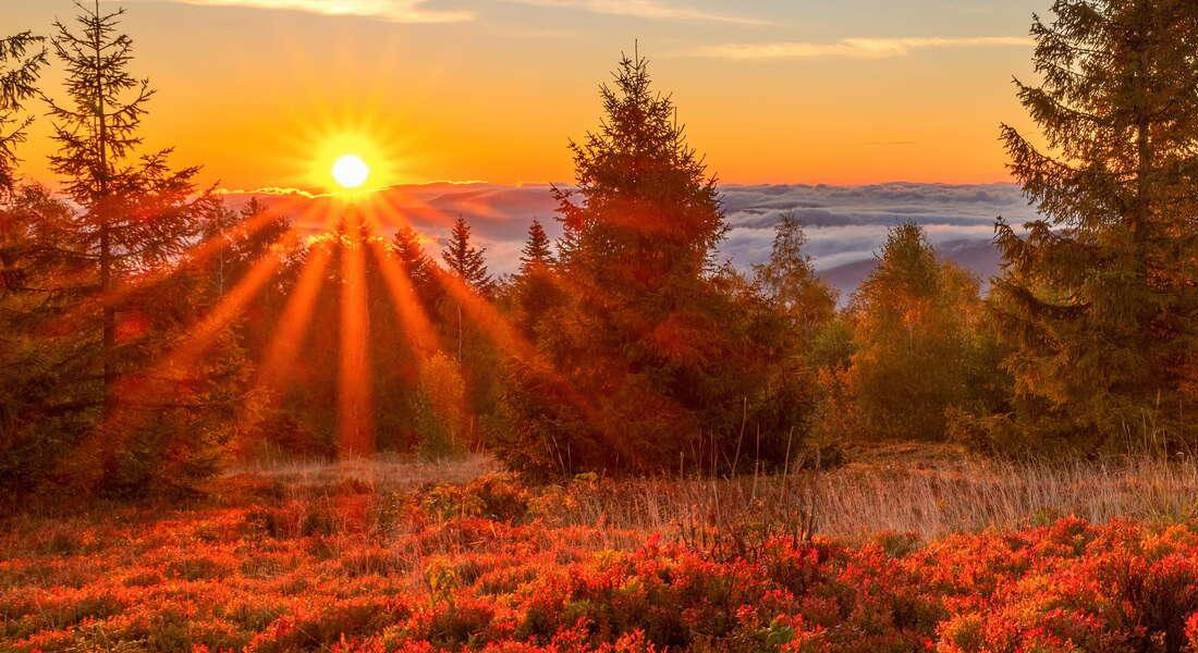 Góra Leskowiec - Beskid Mały